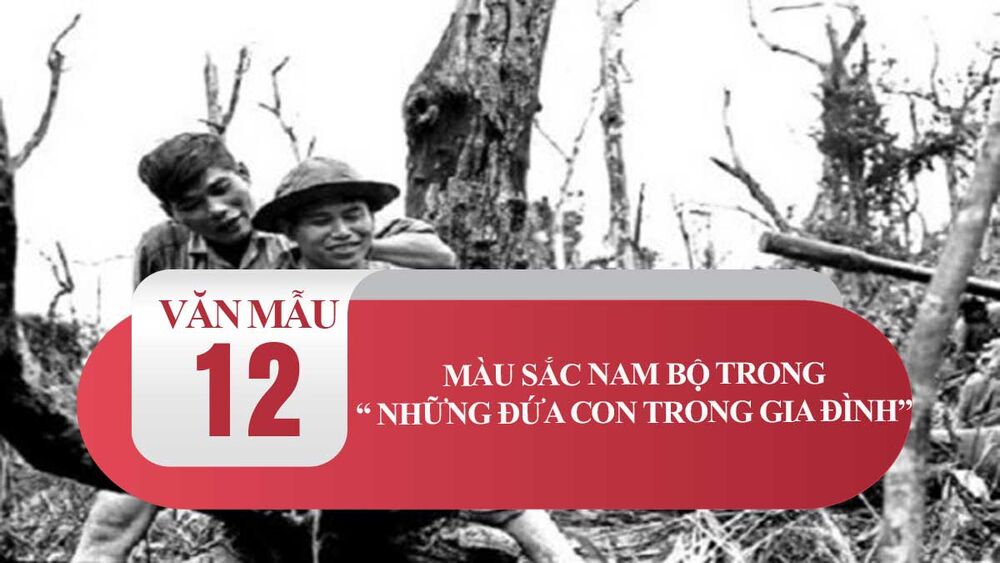 Màu sắc Nam Bộ trong Những đứa con trong gia đình