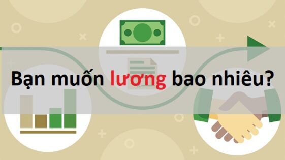 Cách trả lời mức lương khi phỏng vấn