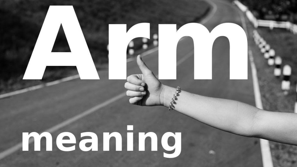 Arm là gì trong tiếng Anh?  Arm sb with là gì?