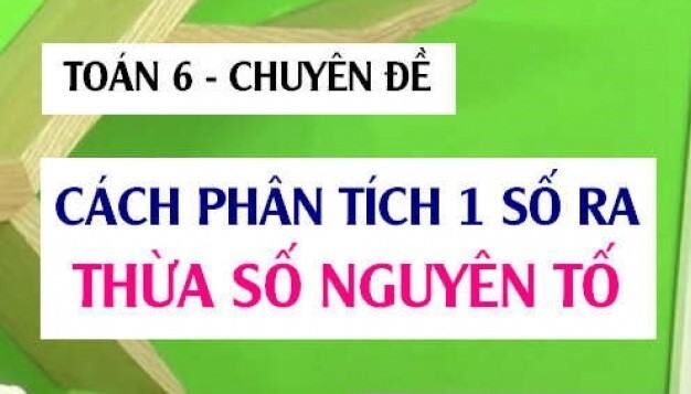 Bài tập phân tích một số ra thừa số nguyên tố lớp 6 cơ bản