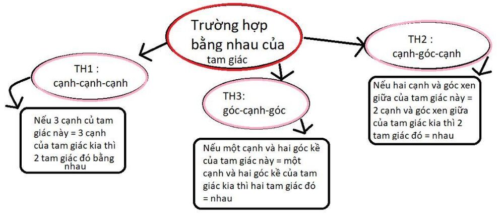 sơ đồ tư duy các trường hợp bằng nhau của tam giác vuông: