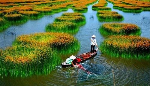 Hướng dẫn soạn bài Đất nước của Nguyễn Khoa Điềm